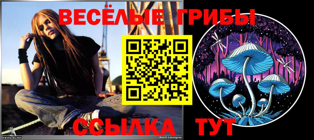 Кинель  Псилоцибиновые грибы Magic Shrooms  купить наркотик  Псилоцибиновые грибы Psilocybine cubensis  Вход с VPN 